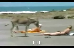 Estou lixado por uma pila de melhor do porno em hd 20 cm!
